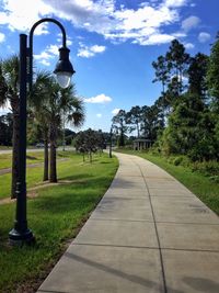 Empty footpath amidst trees