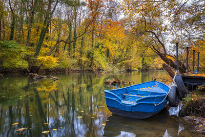 Scenic view of lake in forest during autumn