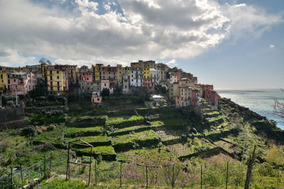 Buildings by sea against sky in city