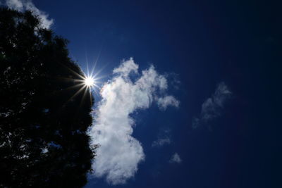 Low angle view of trees against blue sky