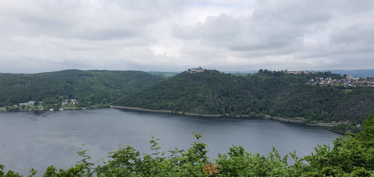 PANORAMIC VIEW OF TREES AND PLANTS AGAINST SKY