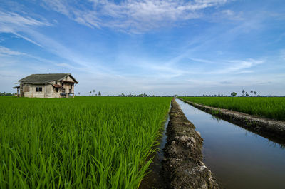 Panoramic shot of houses on field against sky