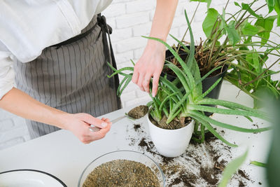 Midsection of man holding potted plant