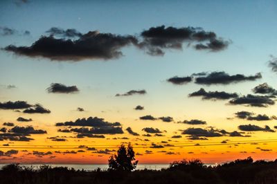 Silhouette trees against sky during sunset