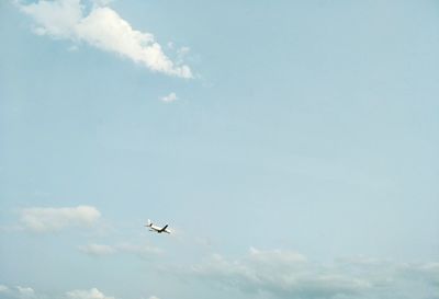 Low angle view of airplane flying in sky