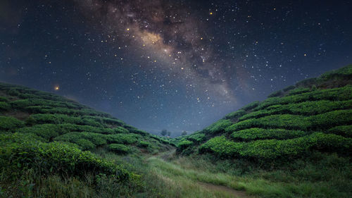 Scenic view of field against sky at night