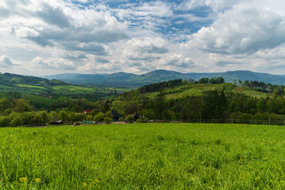 Scenic view of landscape against sky