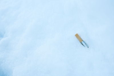 Close-up of cigarette smoking on snow