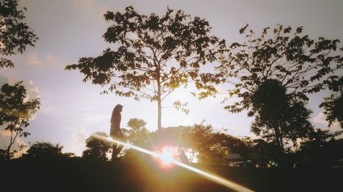 Low angle view of silhouette trees against sky during sunset