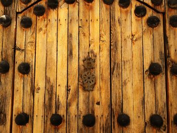 Close-up of wooden plank