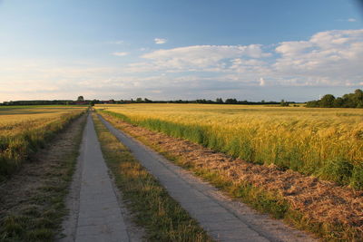 Dirt road amidst agricultural field against sky