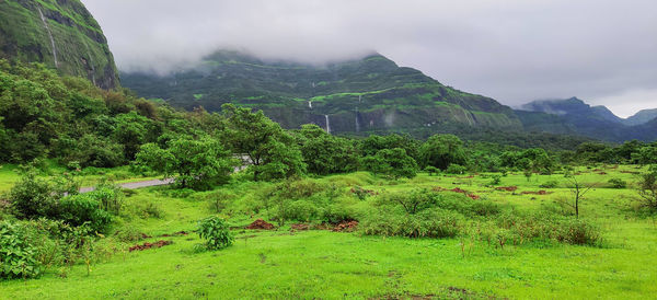 Scenic view of landscape against sky