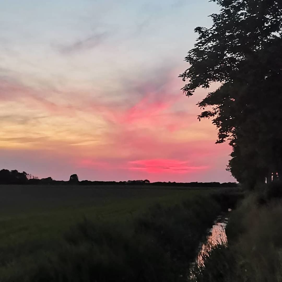 sky, sunset, landscape, plant, environment, cloud, beauty in nature, nature, tree, scenics - nature, land, tranquility, dawn, no people, tranquil scene, field, evening, rural scene, silhouette, outdoors, multi colored, grass, horizon, dramatic sky, sun, pink, non-urban scene, idyllic, water, orange color, agriculture, red, travel, hill, sunlight, growth, twilight, travel destinations