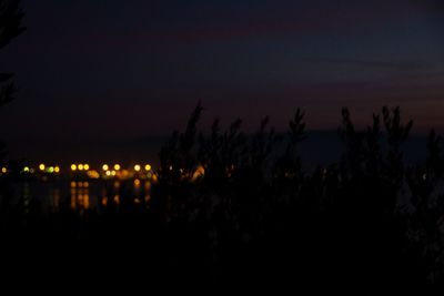 Silhouette trees against sky at night