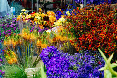 Purple flowering plants at market stall
