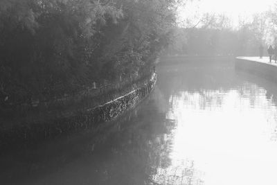 Scenic view of lake by trees