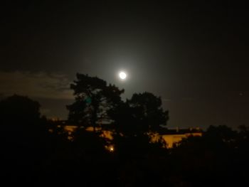 Low angle view of silhouette trees against sky at night