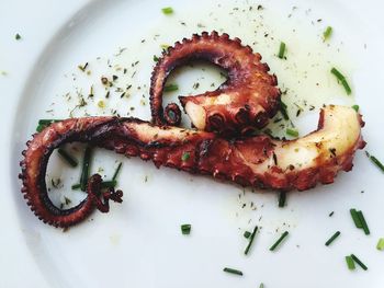 High angle view of tentacles served in plate