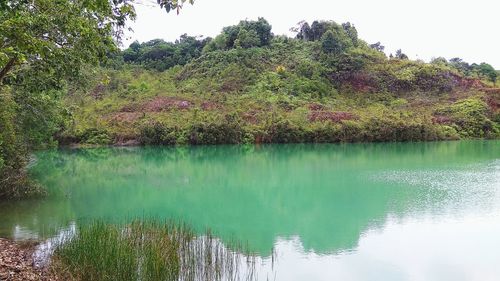 Scenic view of lake in forest against sky