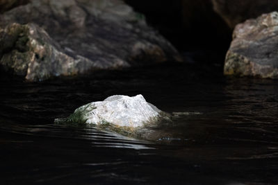 Close-up of rock formation in sea