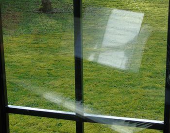 Close-up of shadow on grass