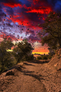 Scenic view of landscape against sky during sunset