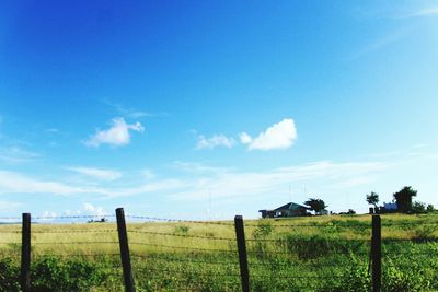 Scenic view of grassy field against sky