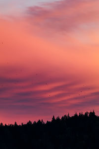 Silhouette birds flying against orange sky