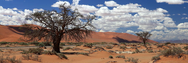 Scenic view of desert against sky