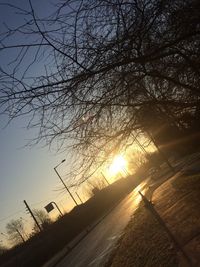 Silhouette trees against sky during sunset