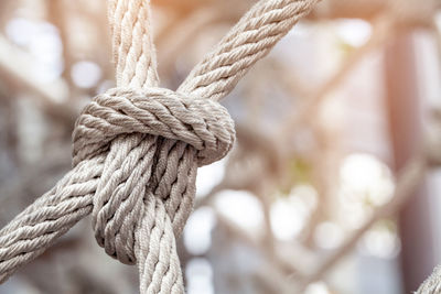 Close-up of rope tied on wooden post