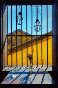 Yellow flowers in vase against window