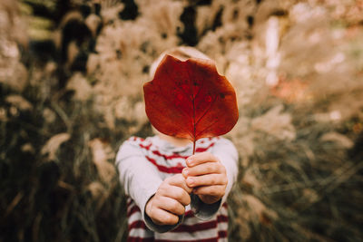 Boy holding dry leaf against tree