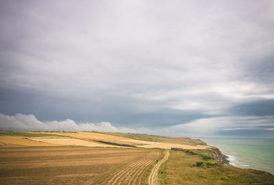 Scenic view of agricultural field against sky