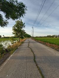 Empty road by trees against sky