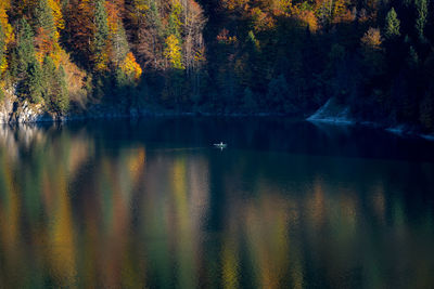 Scenic view of lake in forest during autumn