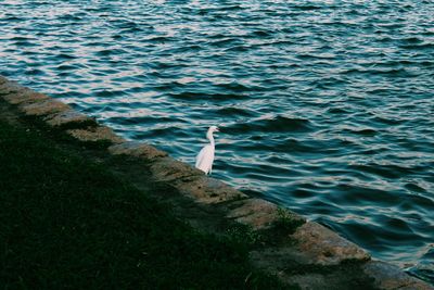 View of water in water