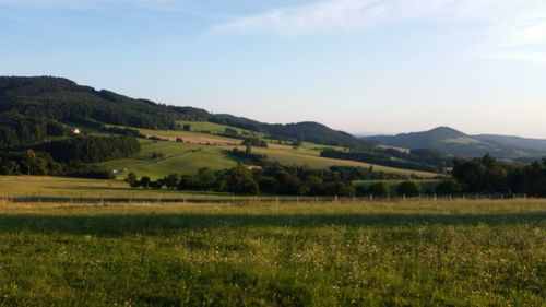 Scenic view of landscape against sky