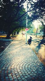 View of footpath along trees