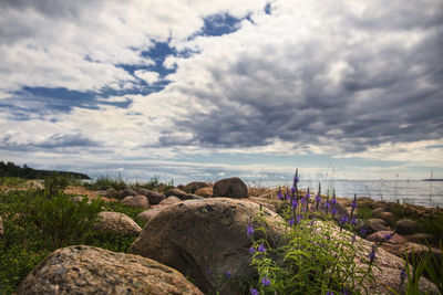 Scenic view of rocks against sky