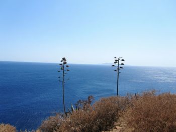 Scenic view of sea against clear sky