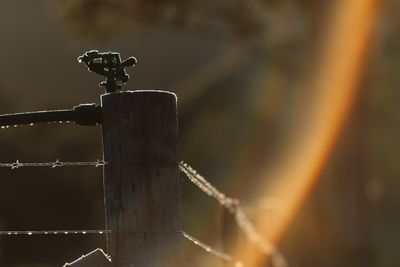 Close-up of barbed wire against blurred background