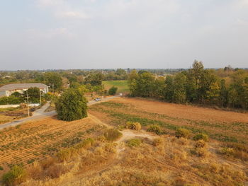 Scenic view of field against sky