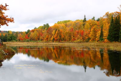 Autumn colours in ontario, canada