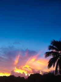 Low angle view of silhouette trees against sky during sunset