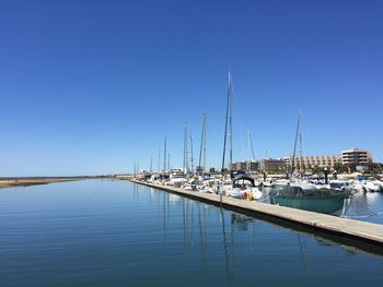 Sailboats in marina