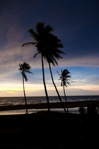 Silhouette palm trees on beach against sky at sunset