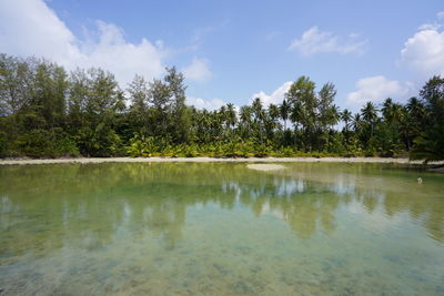 Scenic view of lake by trees against sky