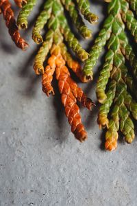 High angle view of vegetables on table