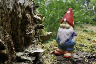 Close-up of stuffed toy on tree trunk